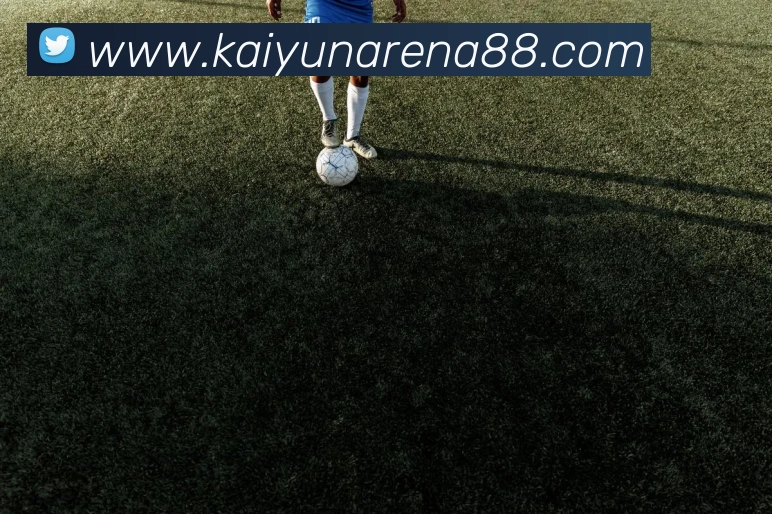 App Interface Preview