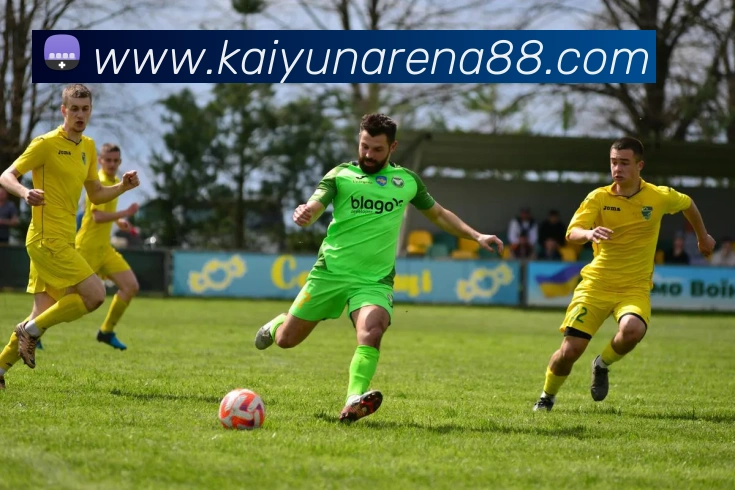 开云体育APP 封面图